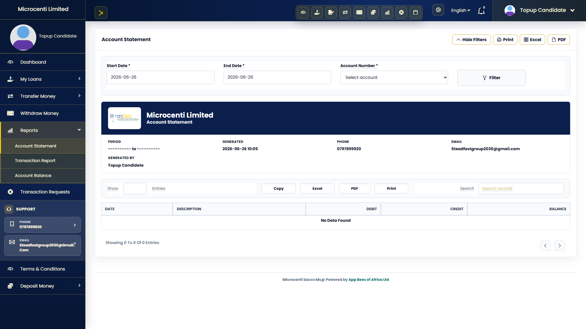 Customer statement screenshot