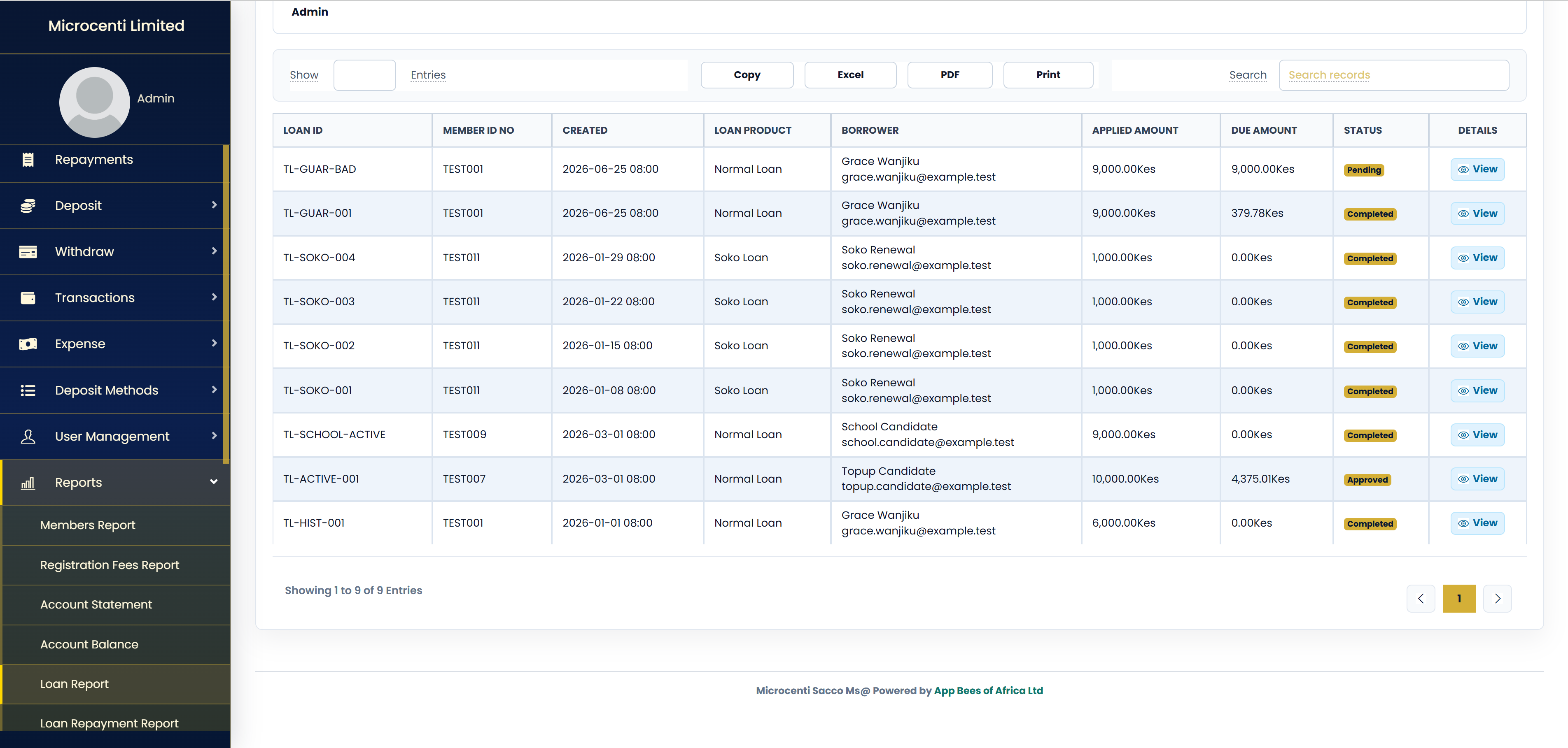Reports screenshot from Microcenti
